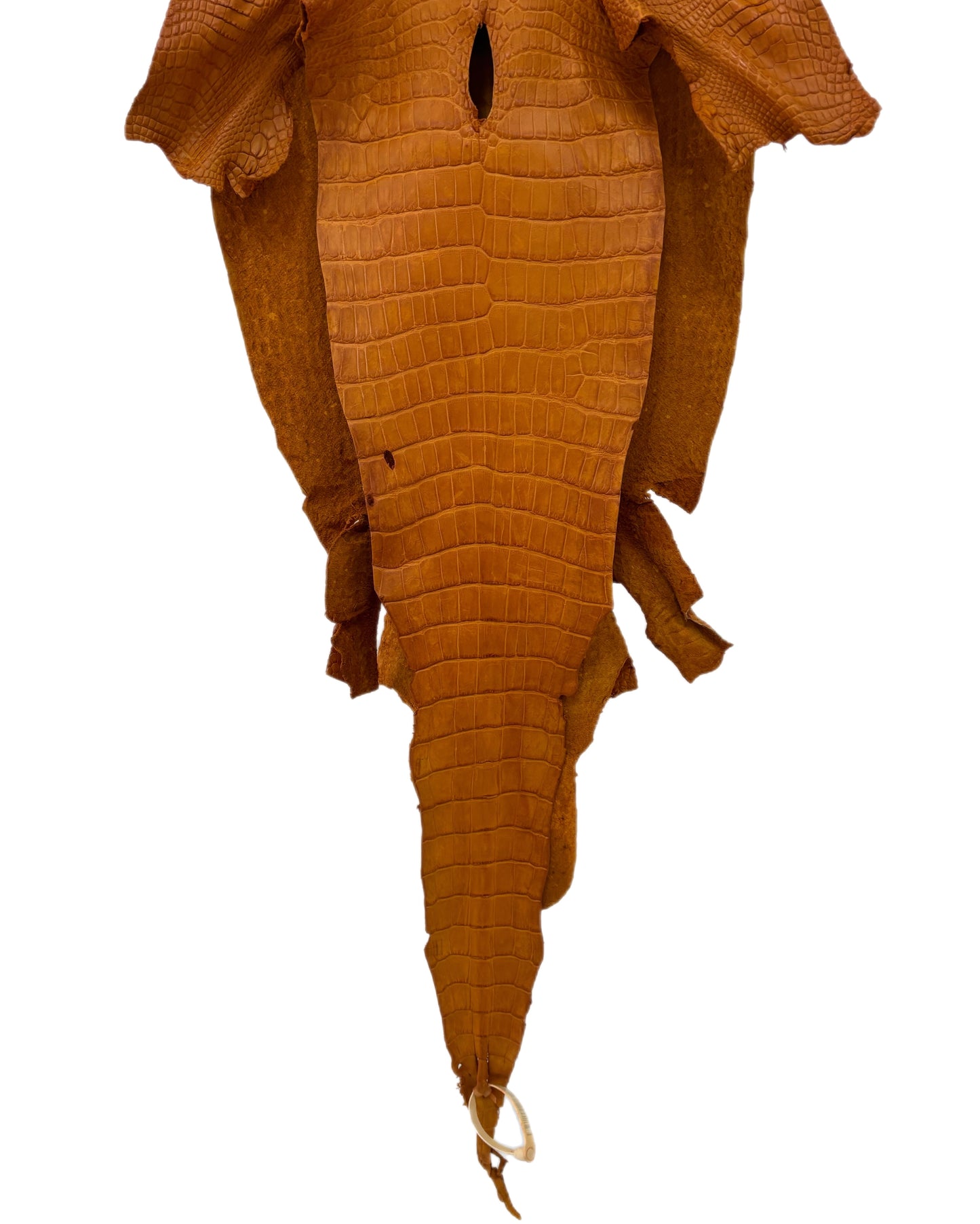 39 cm Grade 3/4 Buttercup Matte Wild American Alligator Leather - Tag: LA23-0002189