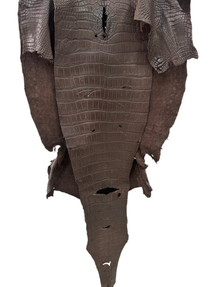 49 cm Grade 4/5 Chocolate Matte Wild American Alligator Leather - Tag: LA23-0003567