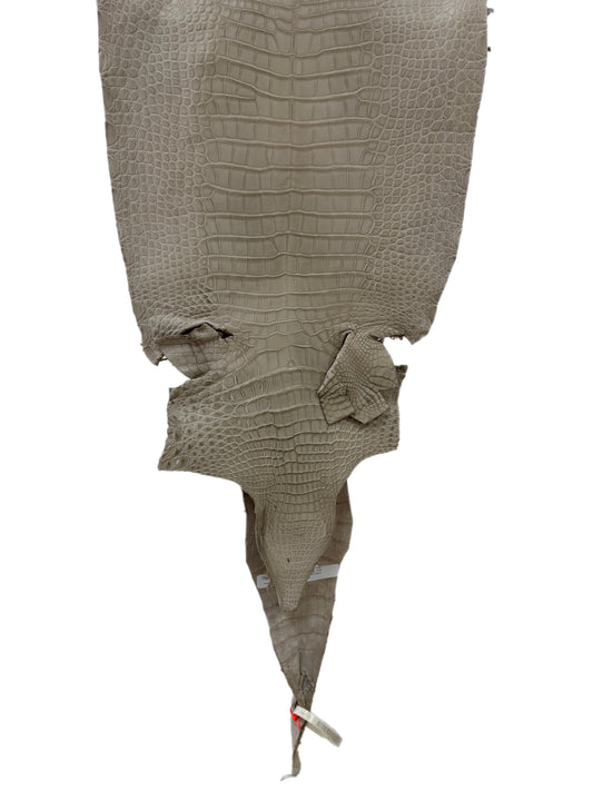 33 cm Grade 2/3 Stormy Matte Farm-Raised American Alligator Leather - Tag: LA23-0531456