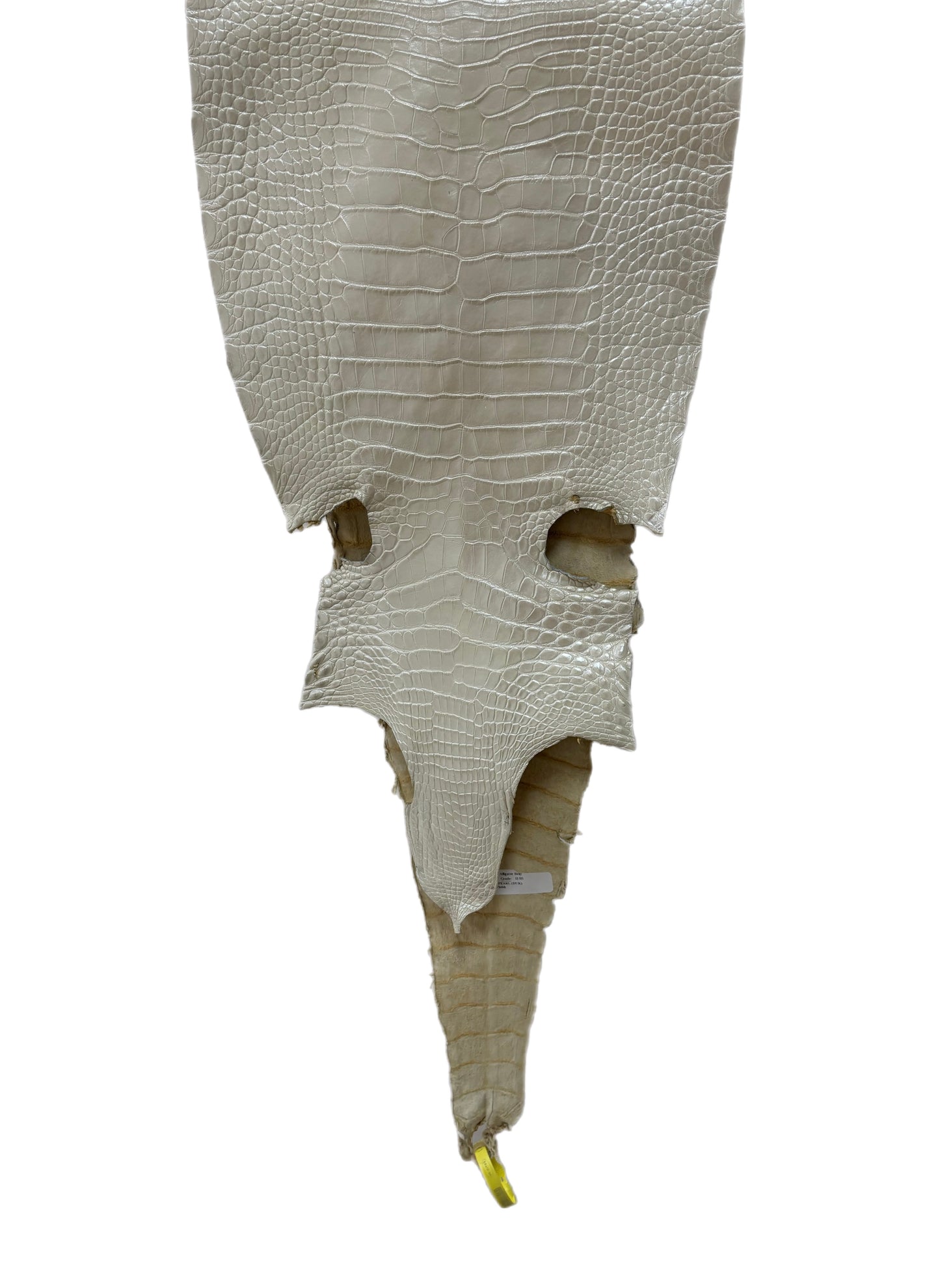 32 cm Grade 2/3 White Pearl Matte Farm-Raised American Alligator Leather - Tag: LA25-0311041