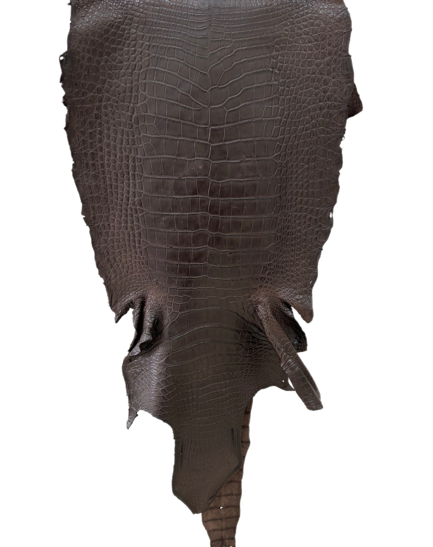 44 cm Grade 4/5 Dark Chocolate Matte Wild American Alligator Leather - Tag: LA23-0027154