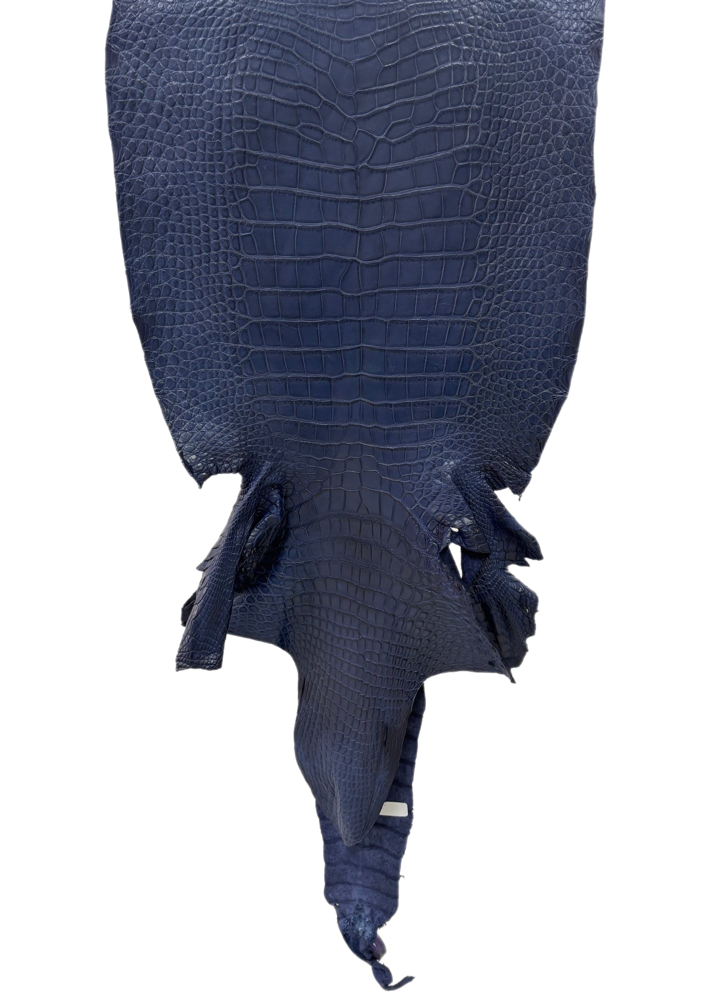 39 cm Grade 1/2 Navy Blue Desert Wild American Alligator Leather - Tag: LA24-0019049