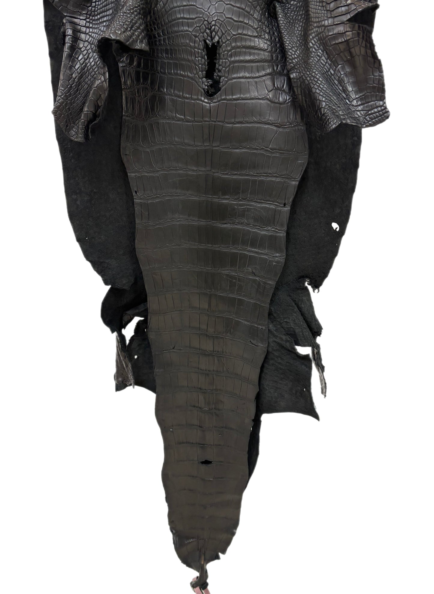47 cm Grade 3/4 Black Matte Wild American Alligator Leather - Tag: LA24-0039686