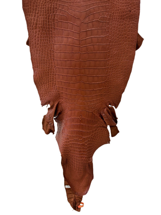 44 cm Grade 3/4 Rustic Cognac Matte Wild American Alligator Leather - Tag: LA24-0016311