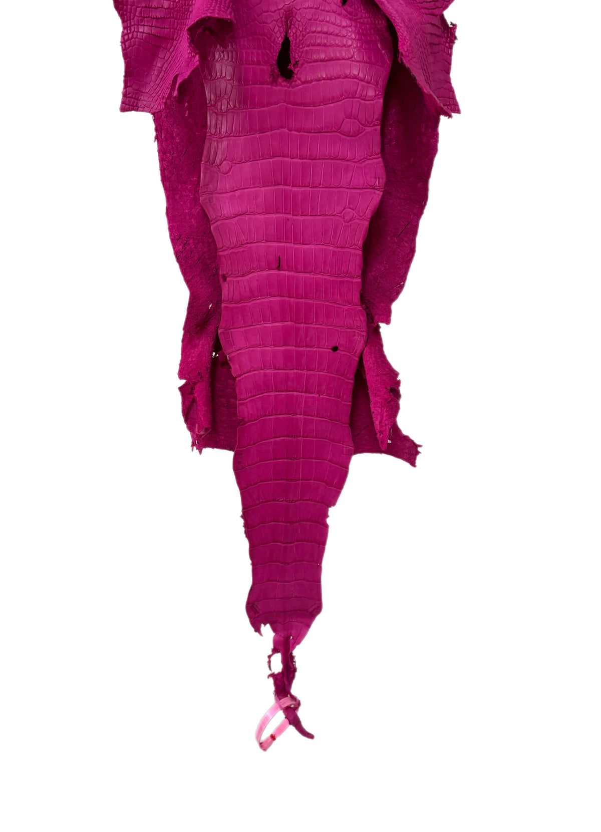 26 cm Grade 3/4 Fuchsia Matte Wild American Alligator Leather - Tag: MS24-0000570