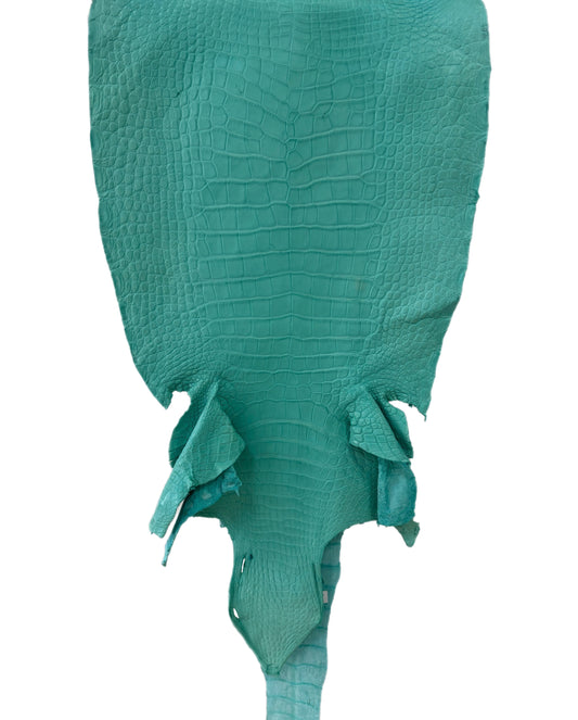 41 cm Grade 3/4 Seafoam Matte Wild American Alligator Leather - Tag: LA23-0027788