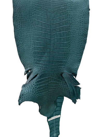 41 cm Grade 3/4 Teal Matte Wild American Alligator Leather - Tag: LA23-0030719
