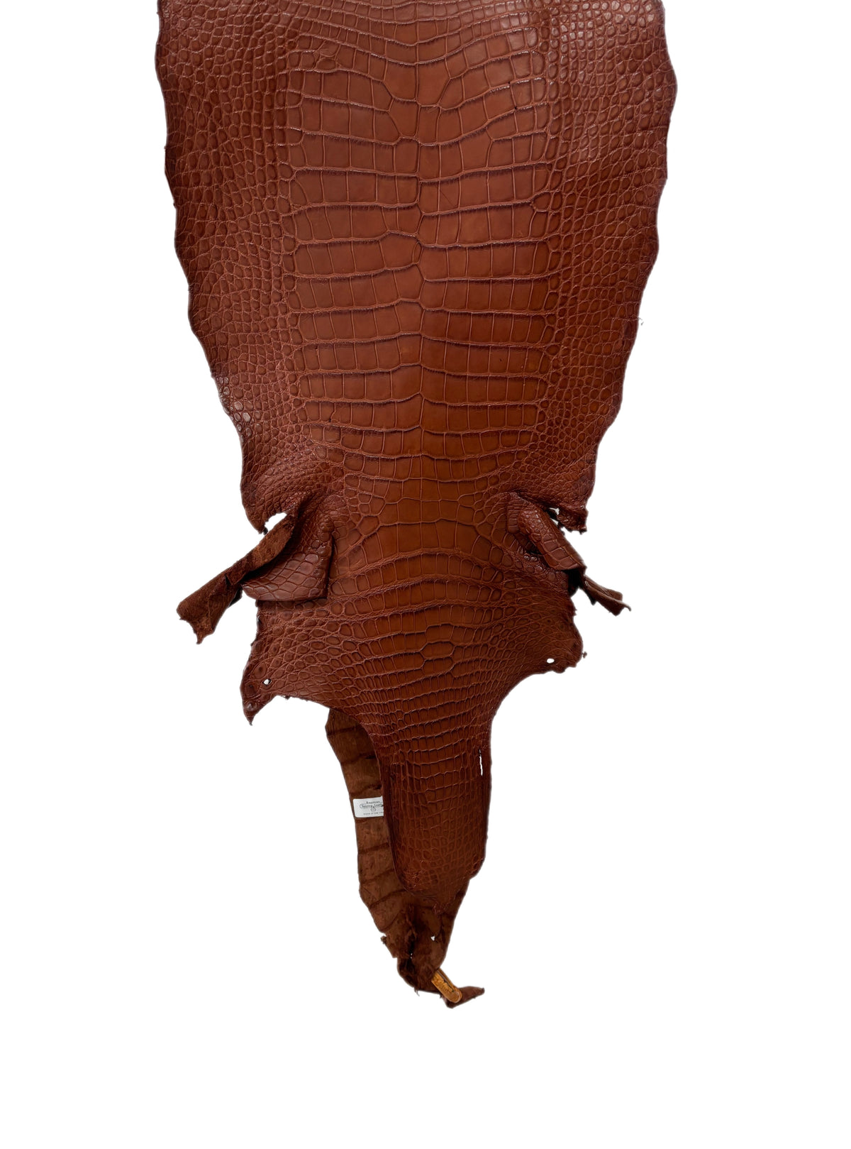 36 cm Grade 2/3 Rustic Cognac Matte Wild American Alligator Leather - Tag: LA23-0005153