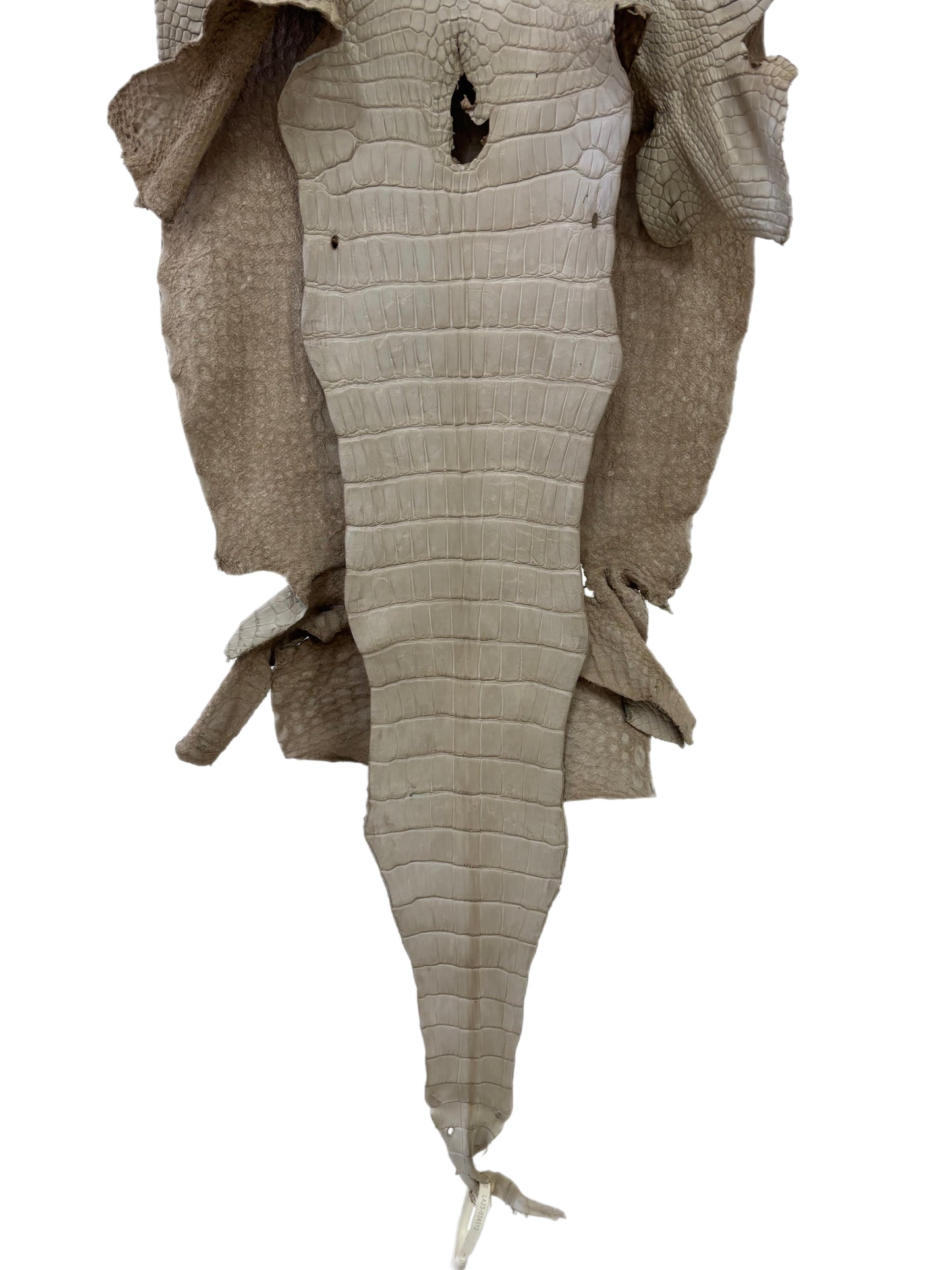 41 cm Grade 3/4 Stormy Matte Wild American Alligator Leather - Tag: LA23-0034012