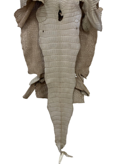 41 cm Grade 3/4 Stormy Matte Wild American Alligator Leather - Tag: LA23-0034012