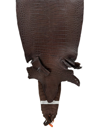 24 cm Grade 4/5 Chocolate Matte Farm Raised American Alligator Leather - Tag: FL21-0024477
