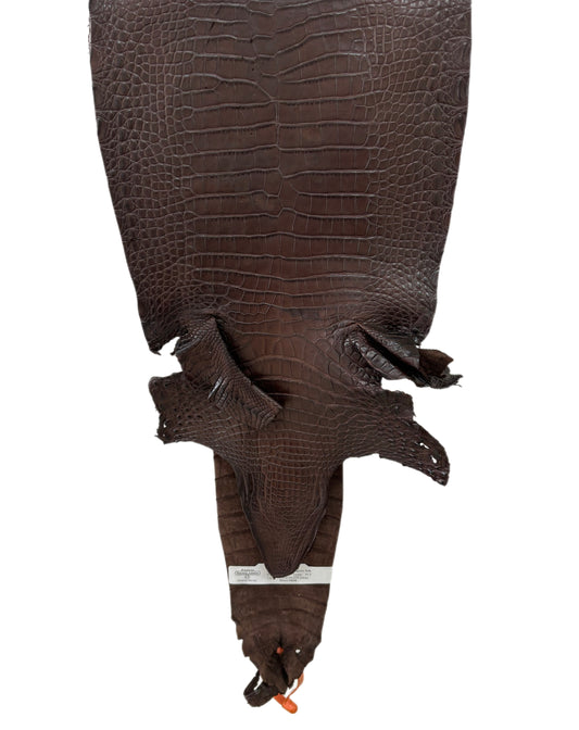 24 cm Grade 4/5 Chocolate Matte Farm Raised American Alligator Leather - Tag: FL21-0024477