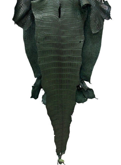 40 cm Grade 2/3 Forest Green Matte Wild American Alligator Leather - Tag: LA23-0030697