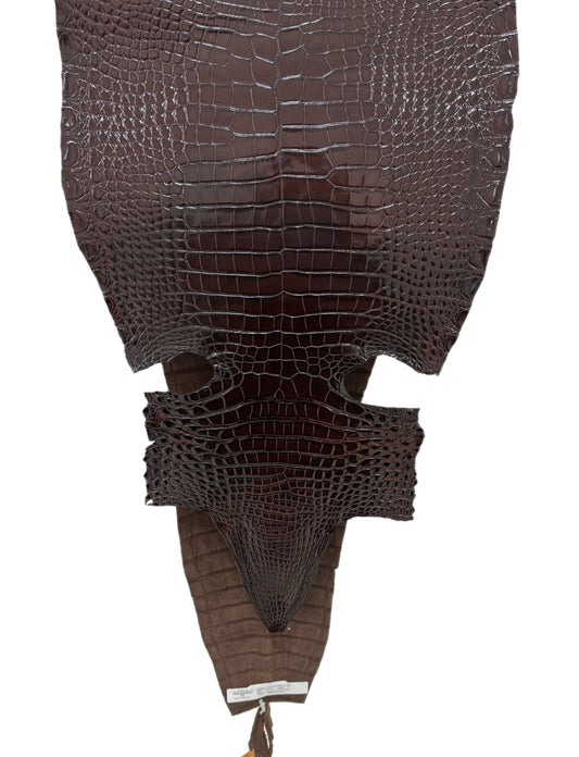 36 cm Grade 1/2 Chocolate Millennium Farm Raised American Alligator Leather - Tag: FL17-0052580