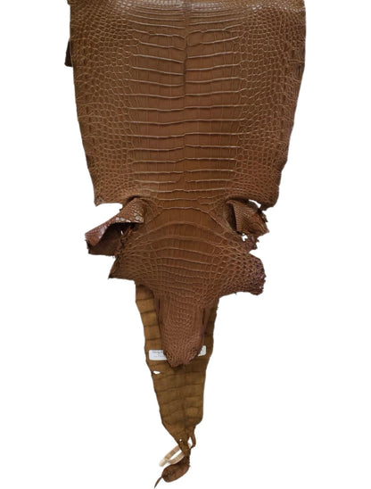 31 cm Grade 2/3 Kango Tabac Matte Farm-Raised American Alligator Leather - Tag: FL17-0036669