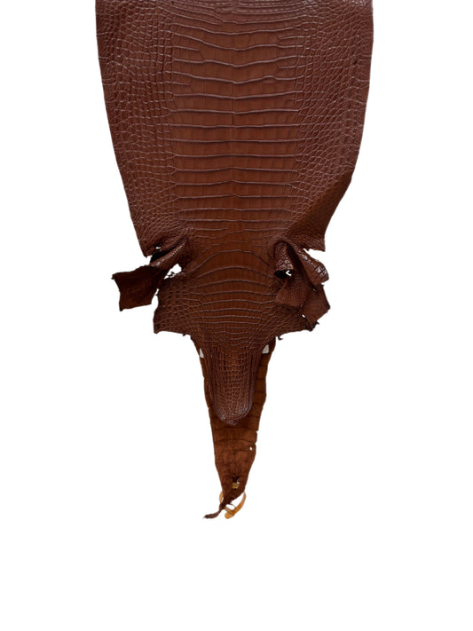 30 cm Grade 2/3 Rodeo Matte Farm-Raised American Alligator Leather - Tag: FL17-0036269