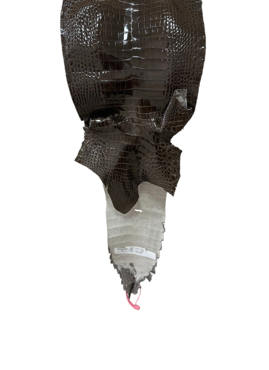 24 cm Grade 1/2 Cocoa Glazed Farm-Raised American Alligator Leather - Tag: FL21-0024427