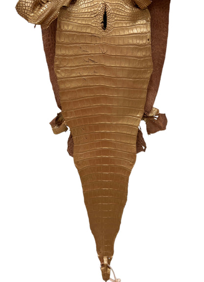 34 cm Grade 4/5 Champagne Metallic Matte Farm-Raised American Alligator Leather - Tag: FL17-0036997