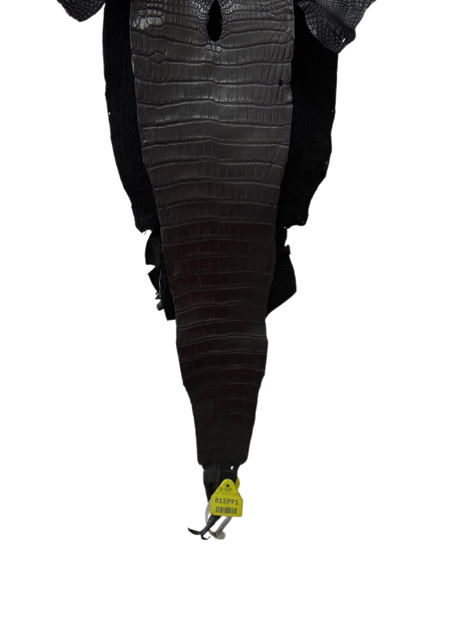 25 cm Grade 1/2 Black Matte Farm-Raised American Alligator Leather - Tag: LA08-0230217