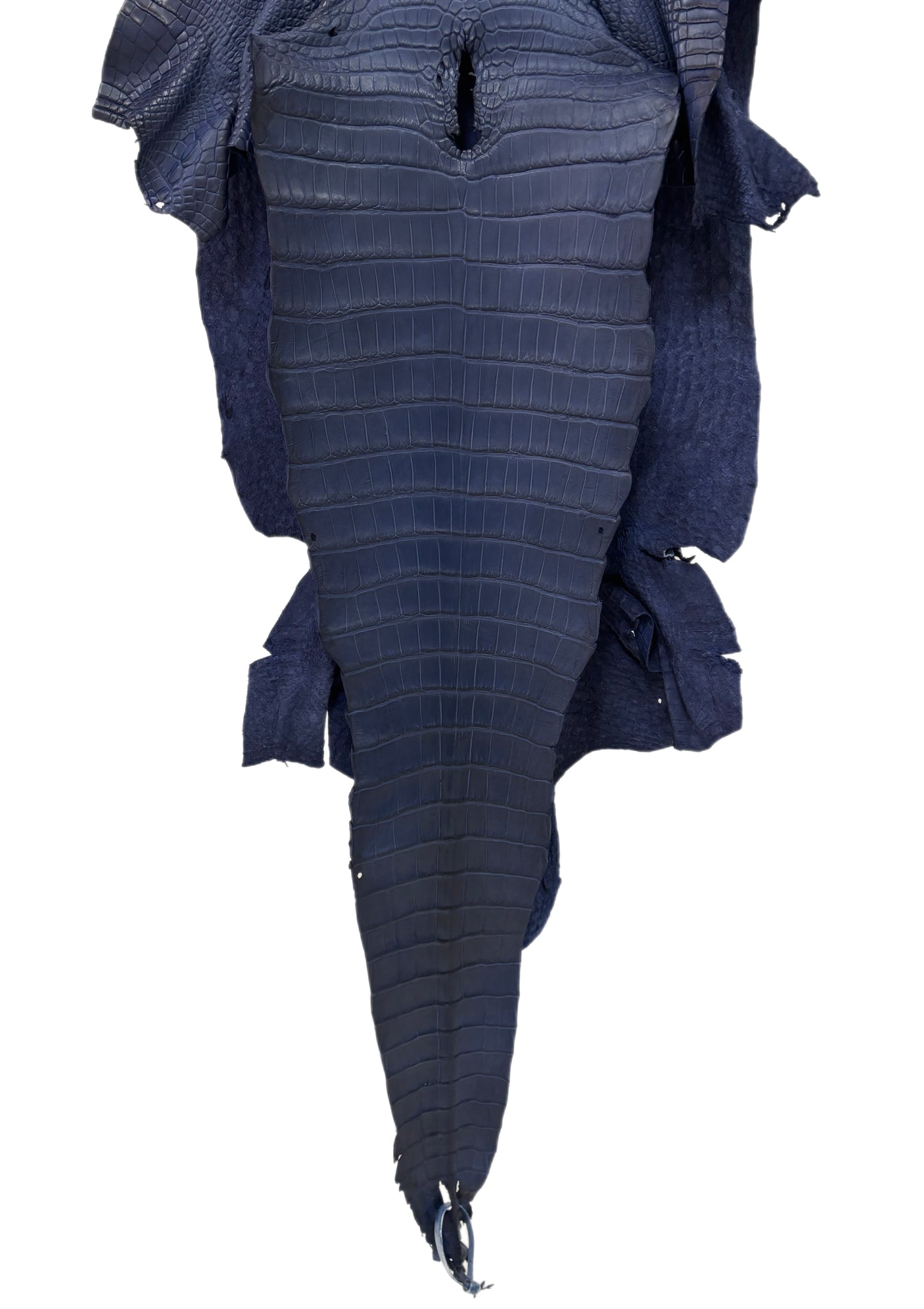 40 cm Grade 1/2 Navy Blue Desert Wild American Alligator Leather - Tag: FL17-0000677