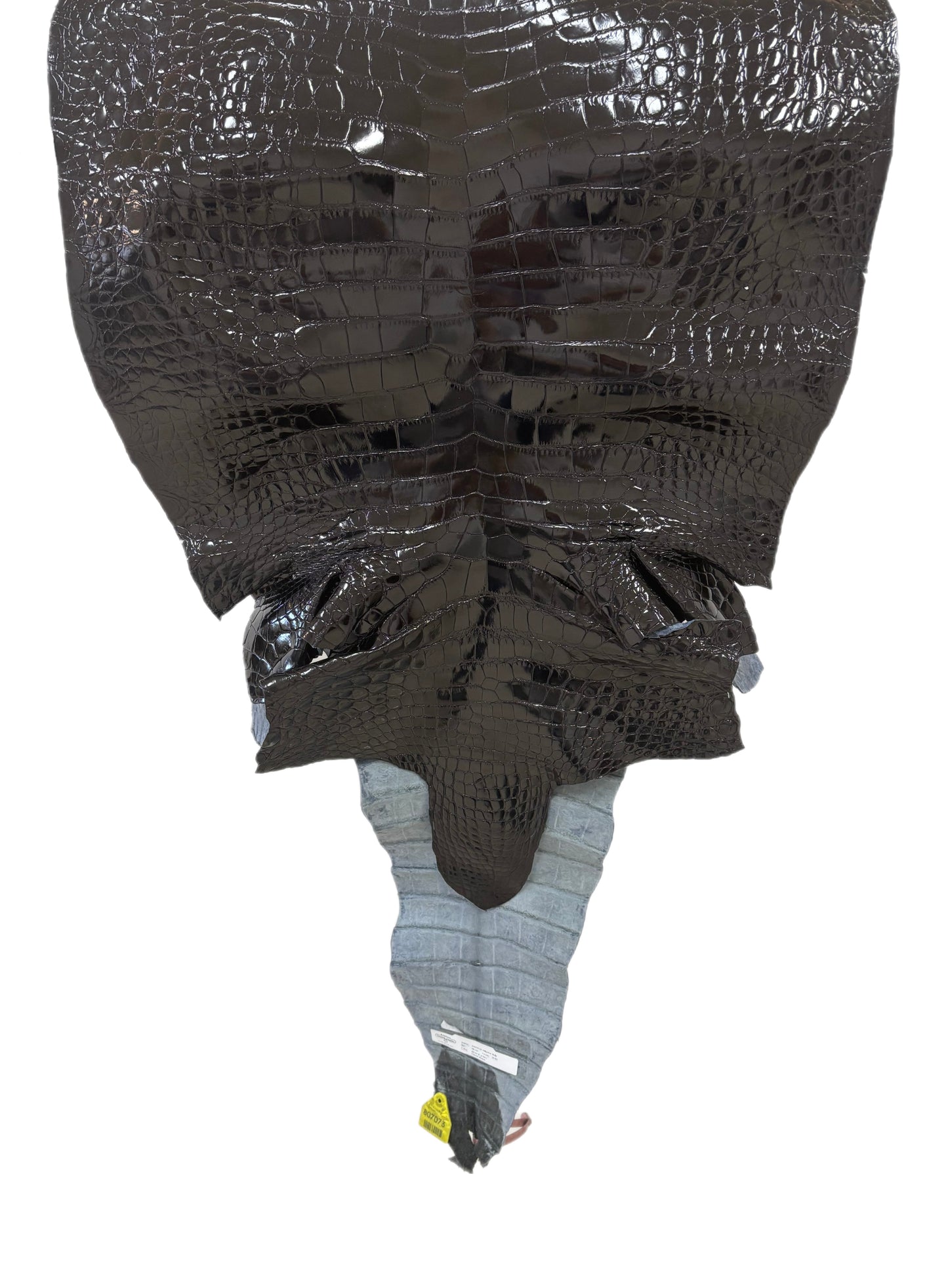 58 cm Grade 2/3 Black Glazed Farm-Raised American Alligator Leather - Tag: FL14-0004080