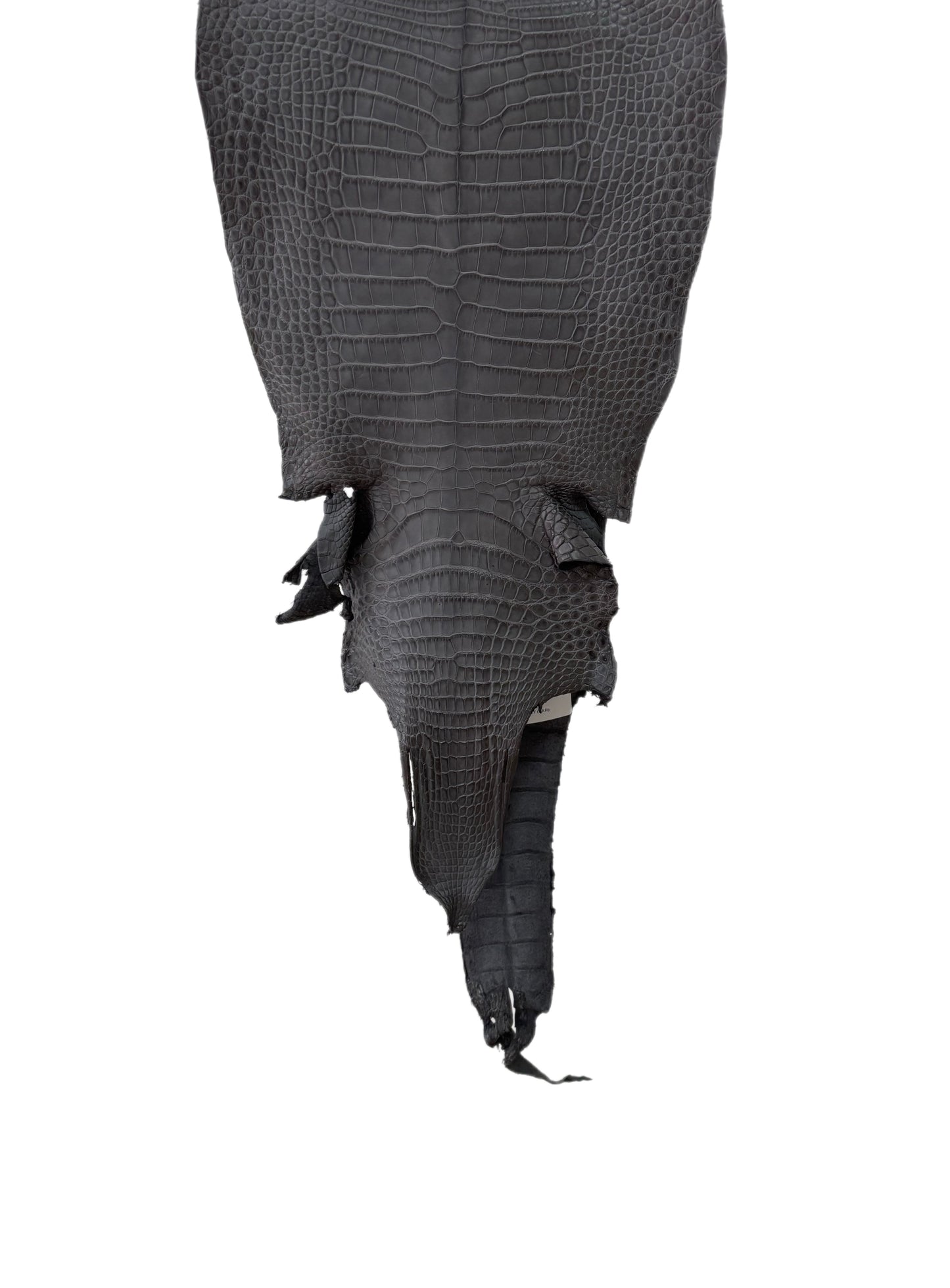 27 cm Grade 1/2 Serpentine Grey Matte Farm-Raised American Alligator Leather - Tag: LA17-0133849