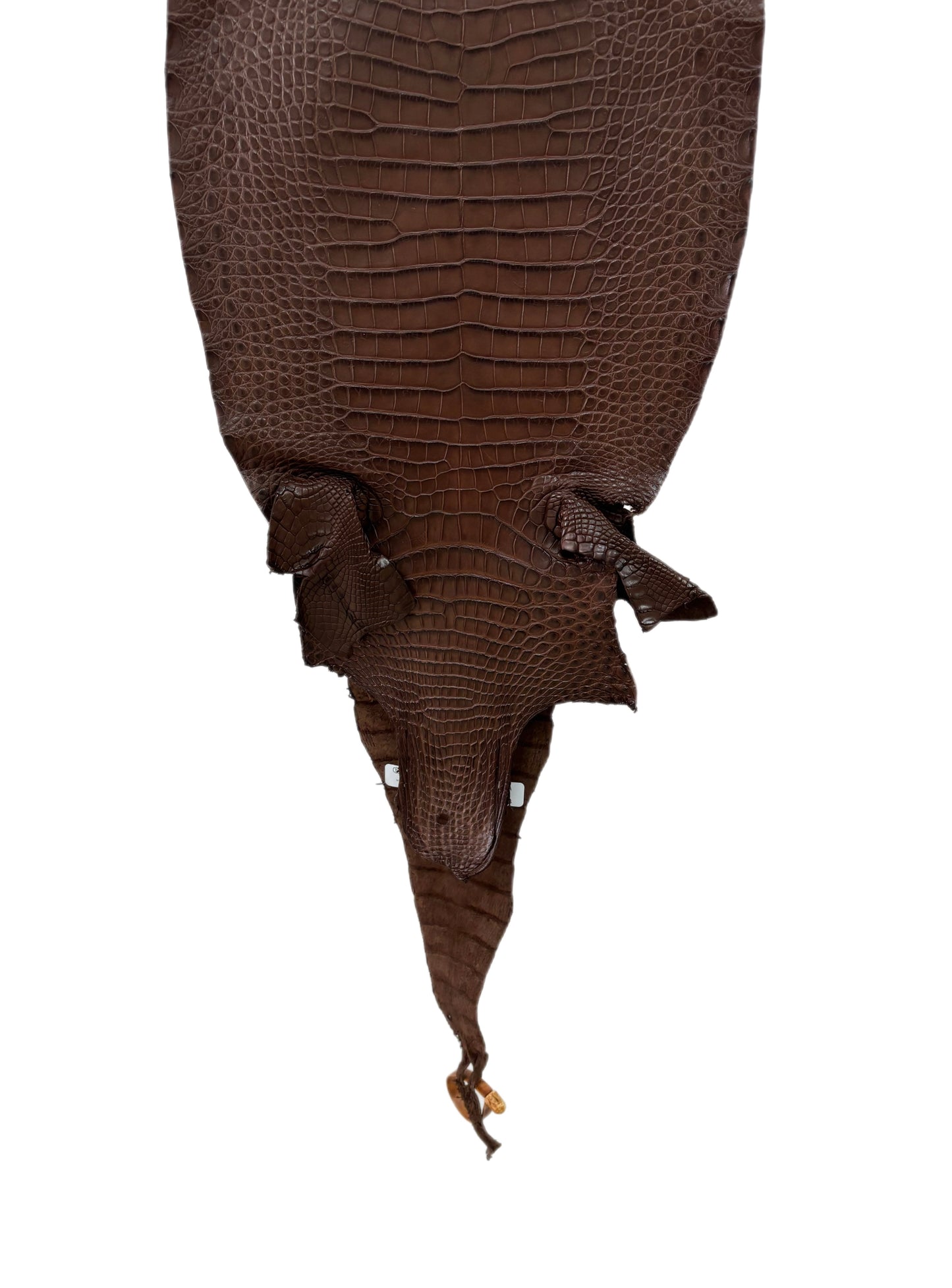 31 cm Grade 1/2 Chocolate Matte Farm-Raised American Alligator Leather - Tag: FL17-0036369