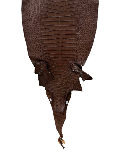 31 cm Grade 1/2 Chocolate Matte Farm-Raised American Alligator Leather - Tag: FL17-0036369