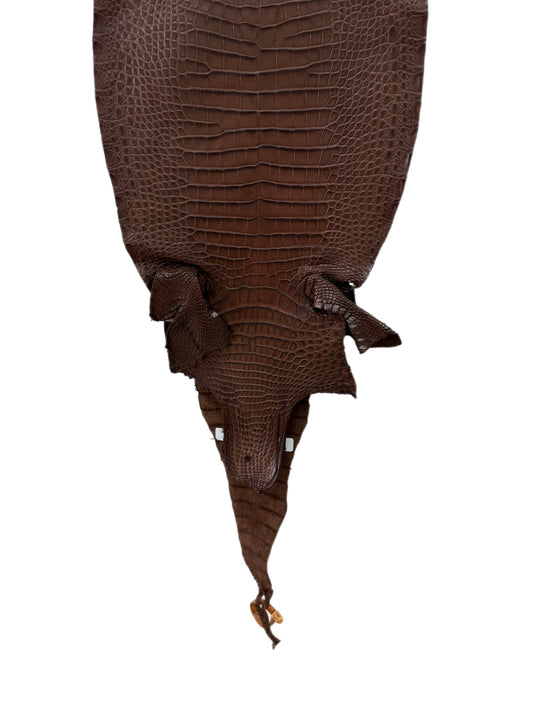 31 cm Grade 1/2 Chocolate Matte Farm-Raised American Alligator Leather - Tag: FL17-0036369