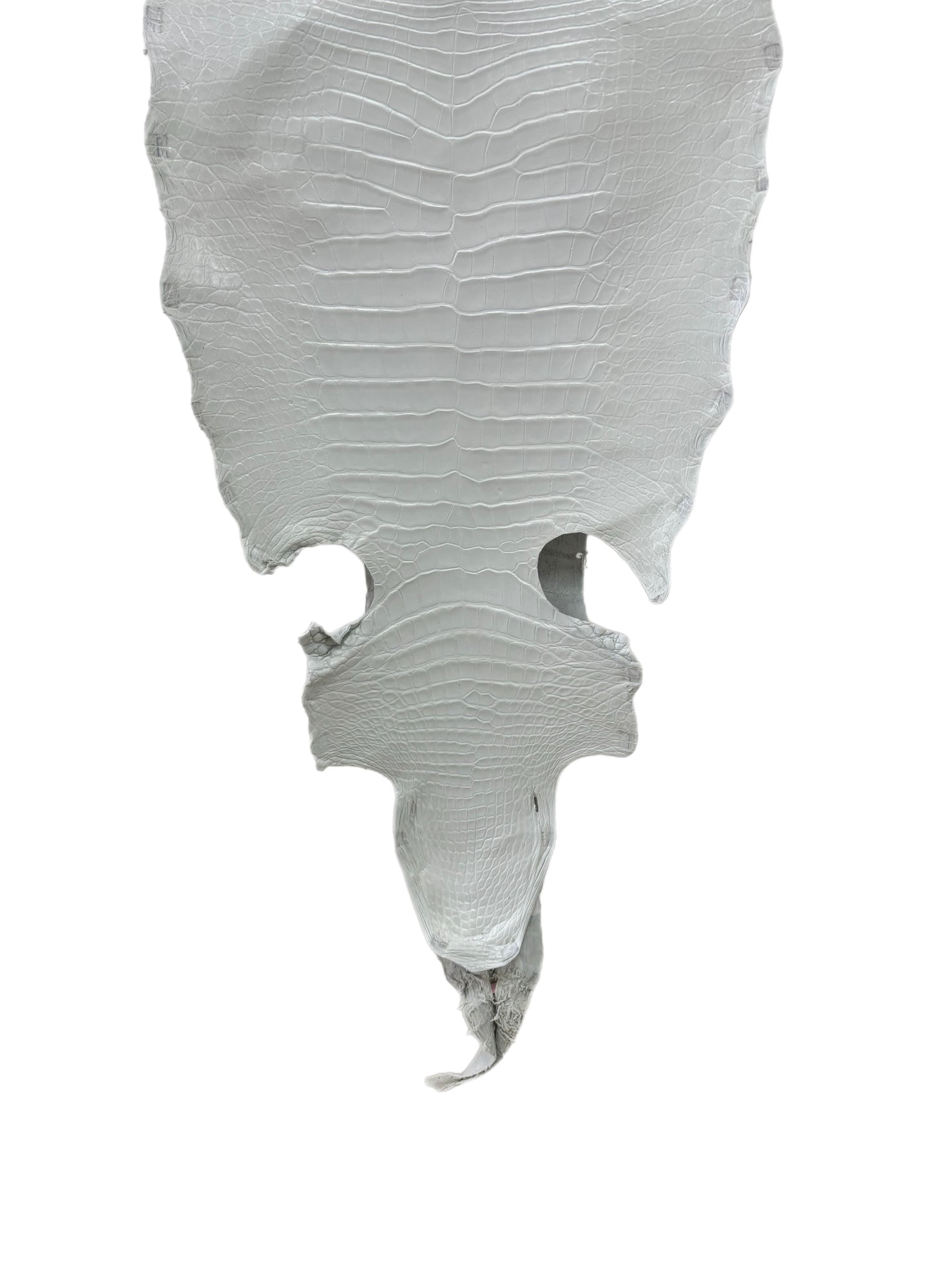 42 cm Grade 2/3 White Matte Wild American Alligator Leather - Tag: LA18-0034939
