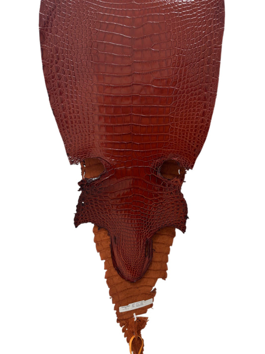 37 cm Grade 1/2 Peanut Millennium Farm-Raised American Alligator Leather - Tag: FL17-0052656
