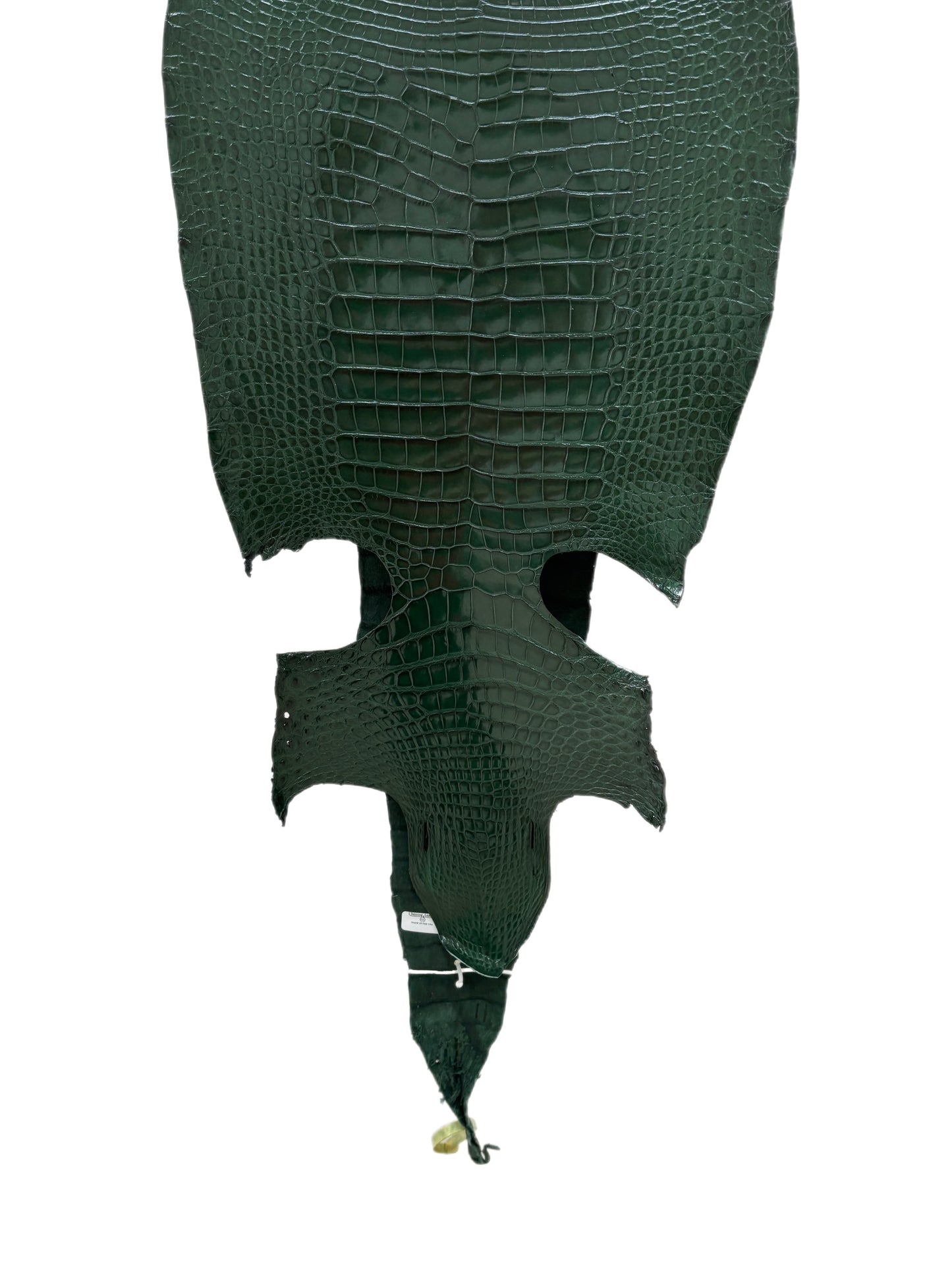 37 cm Grade 2/3 Forest Green Millennium Wild American Alligator Leather - Tag: LA16-0040624