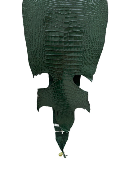 37 cm Grade 2/3 Forest Green Millennium Wild American Alligator Leather - Tag: LA16-0040624