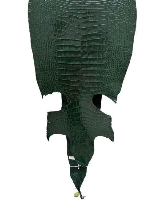 37 cm Grade 2/3 Forest Green Millennium Wild American Alligator Leather - Tag: LA16-0040624