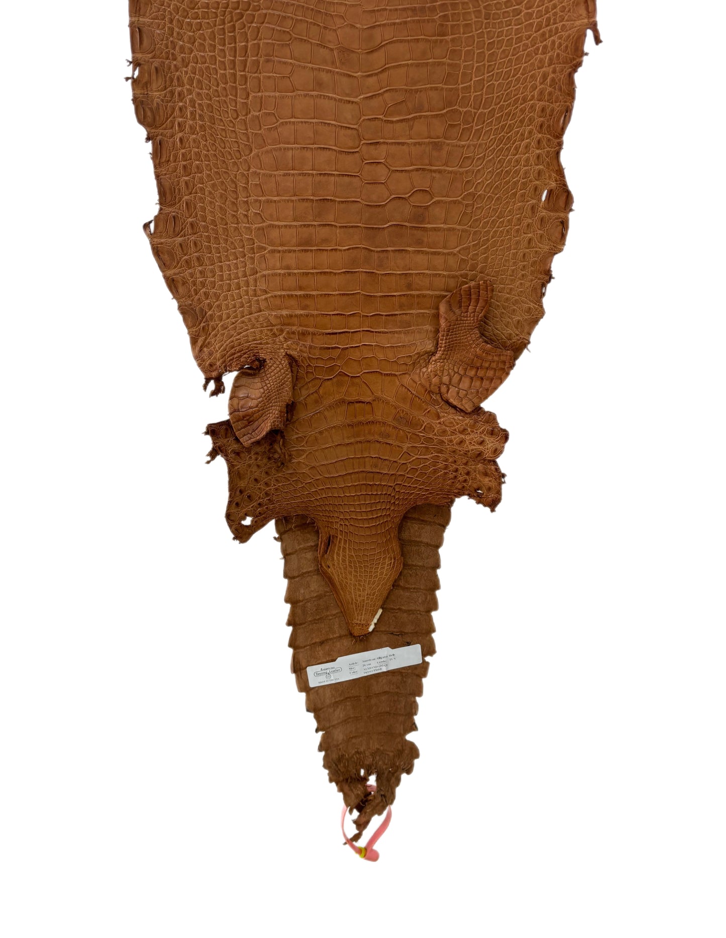 26 cm Grade 4/5 Almond Matte Farm Raised American Alligator Leather - Tag: FL21-0024974