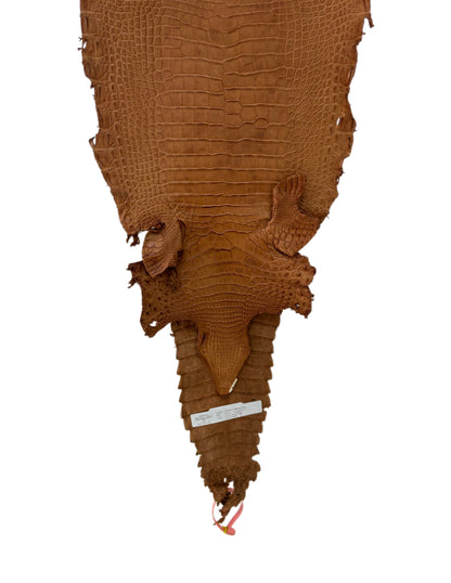 26 cm Grade 4/5 Almond Matte Farm Raised American Alligator Leather - Tag: FL21-0024974