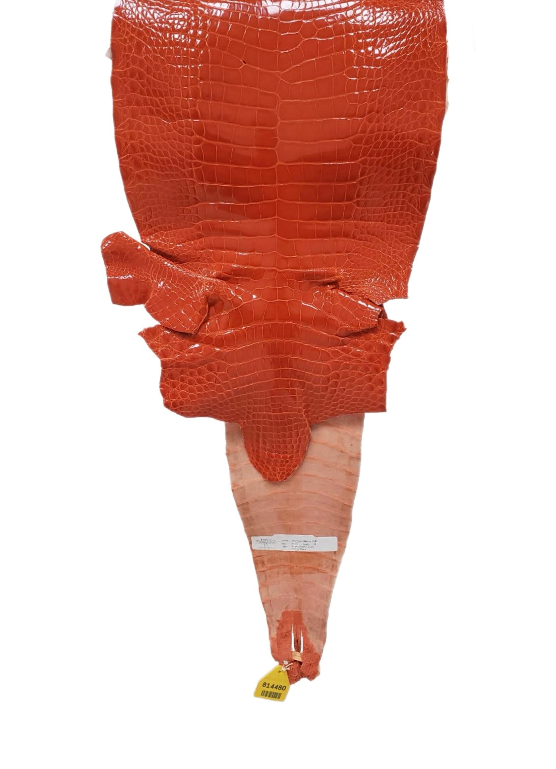 29 cm Grade 1/2 Mandarina Glazed Farm-Raised American Alligator Leather - Tag: GA15-0047738