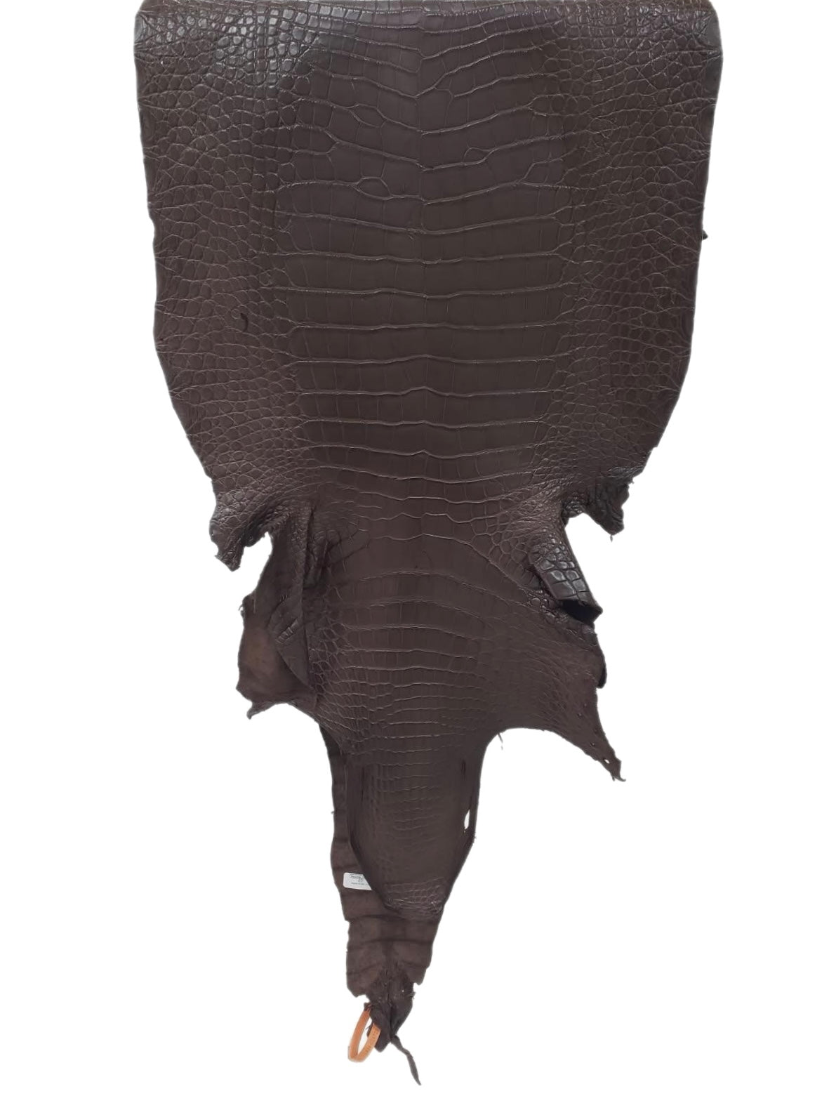 43 cm Grade 2/3 Chocolate Matte Wild American Alligator Leather - Tag: LA24-0024723