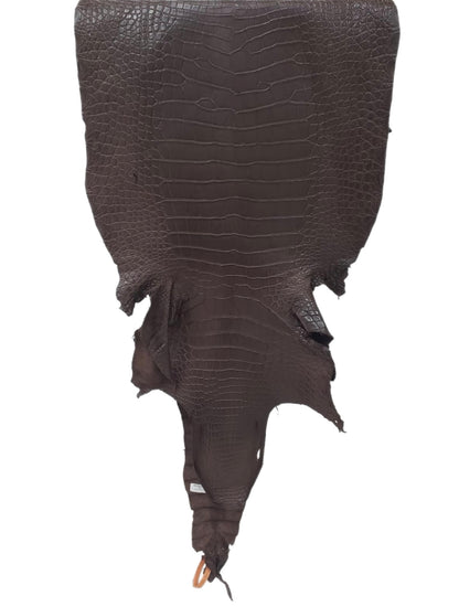 43 cm Grade 2/3 Chocolate Matte Wild American Alligator Leather - Tag: LA24-0024723