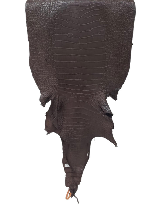 43 cm Grade 2/3 Chocolate Matte Wild American Alligator Leather - Tag: LA24-0024723