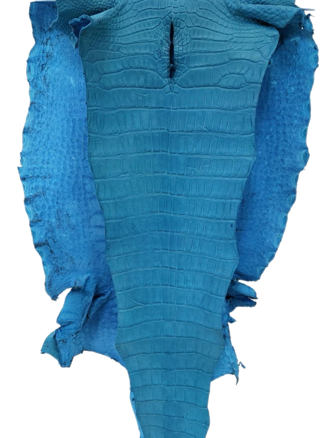 54 cm Grade 2/3 Ultramarine Matte Wild American Alligator Leather - Tag: LA23-0023143