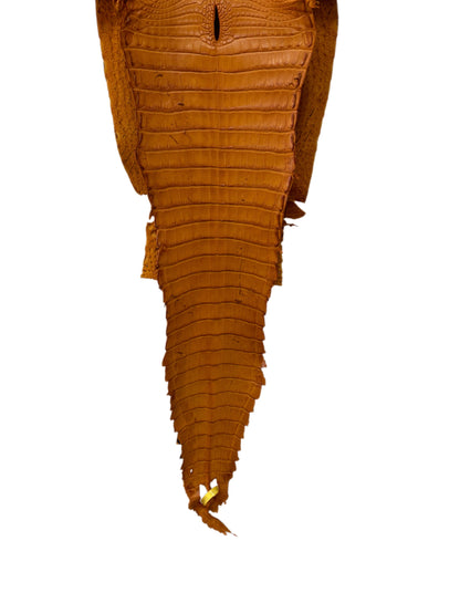 28 cm Grade 2/3 Buttercup Matte Farm-Raised American Alligator Leather - Tag: FL22-0030329