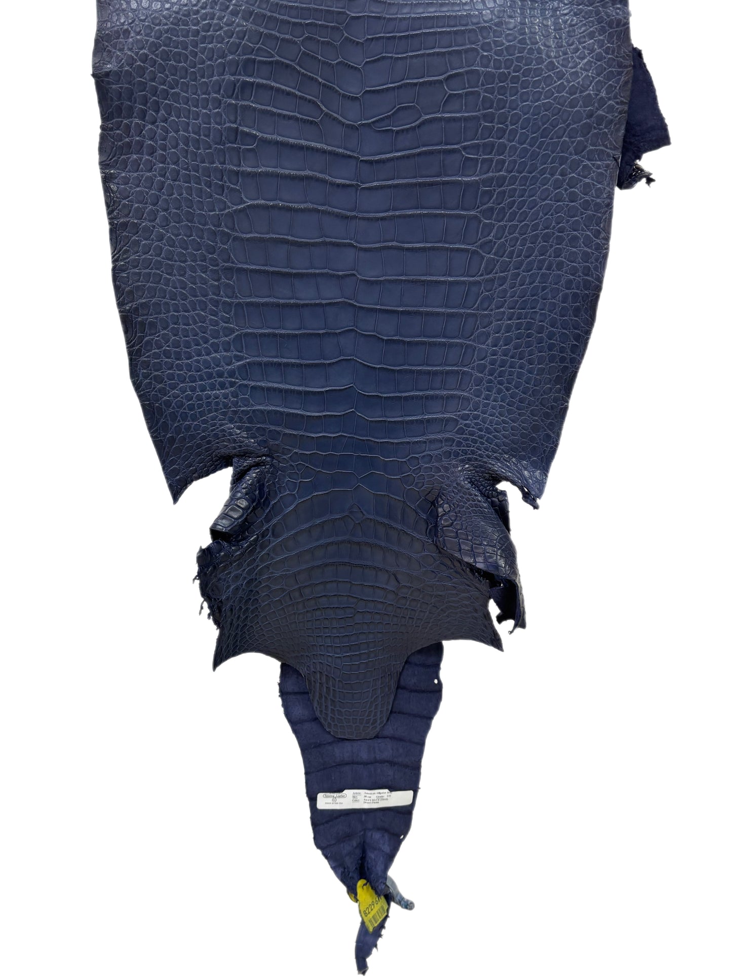 38 cm Grade 1/2 Navy Blue Desert Wild American Alligator Leather - Tag: LA17-0037248