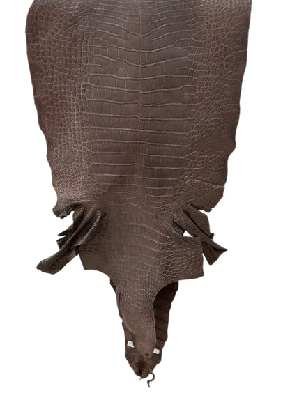47 cm Grade 2/3 Chocolate Matte Wild American Alligator Leather - Tag: LA23-0014956