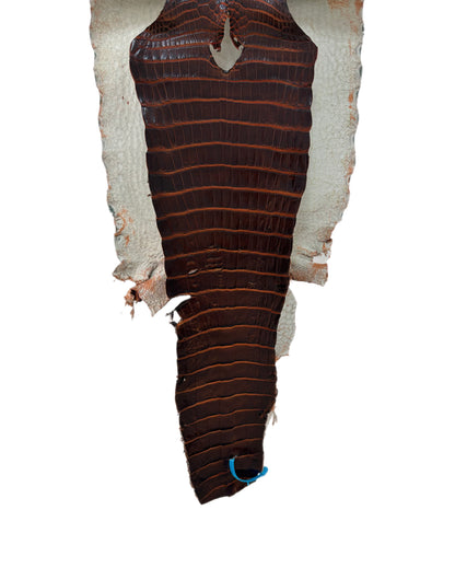 35 cm Grade 1/2 Sienna Matte Wild American Alligator Leather - Tag: ESRE-0050780