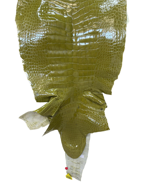 CLOSEOUT | 41 cm Grade 3/4 Muguet Glazed Wild American Alligator Leather - Tag: CCIT-0539952