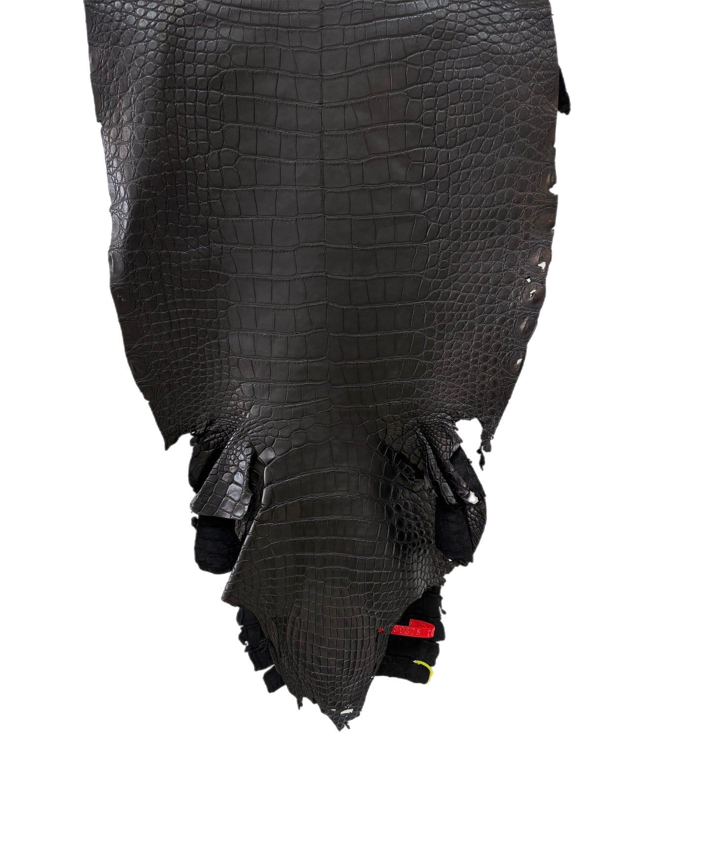 35 cm Grade 1/2 Black Garment Wild American Alligator Leather - Tag: ITCC-0539875