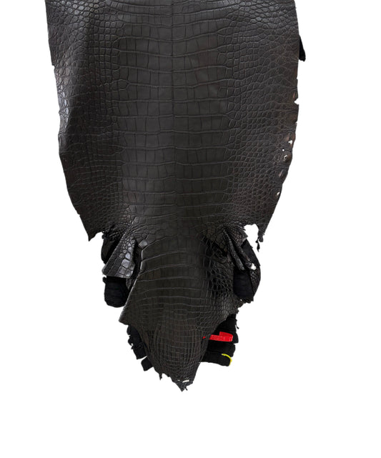 35 cm Grade 1/2 Black Garment Wild American Alligator Leather - Tag: ITCC-0539875