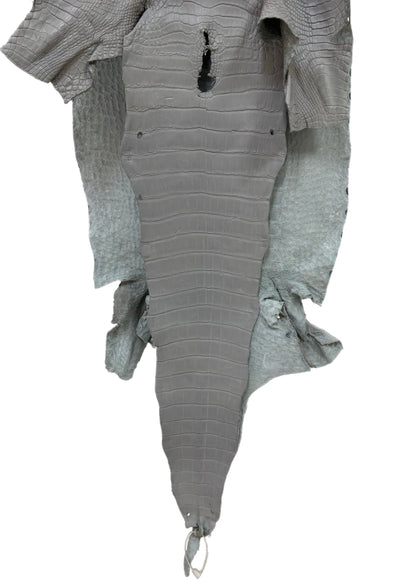 41 cm Grade 3/4 Glacier Matte Wild American Alligator Leather - Tag: LA23-0034143