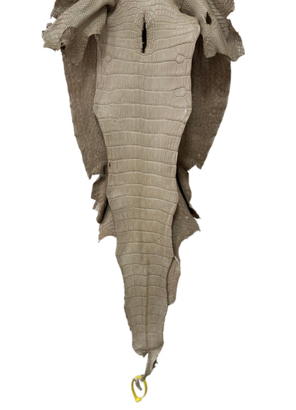 36 cm Grade 3/4 Oatmeal Matte Wild American Alligator Leather - Tag: LA25-0009418